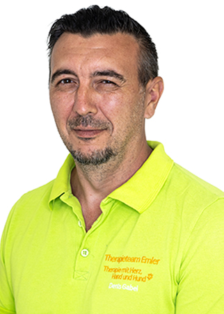 Denis Gabel